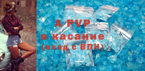 стаф Надым