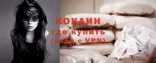 прущие грибы Абаза