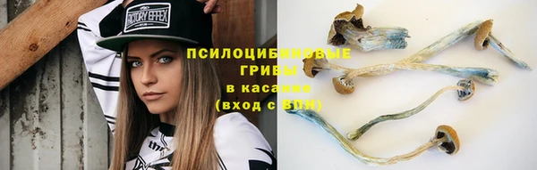 прущая мука Навашино