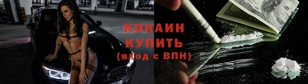 стаф Надым
