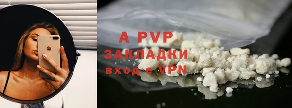 стаф Надым