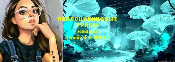 бошки Наволоки