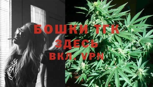 прущие грибы Абаза