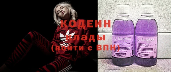 прущие грибы Абаза