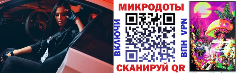 Галлюциногенные грибы Magic Shrooms закладка Тайга